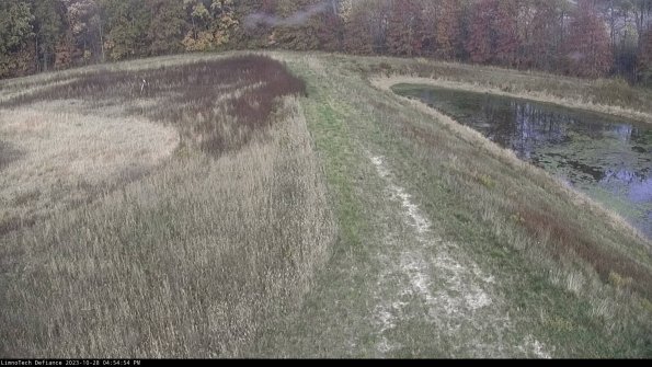 Cell 4 to Basin_23-10-28_16-54-54-80