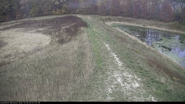 Cell 4 to Basin_23-10-28_18-01-53-77