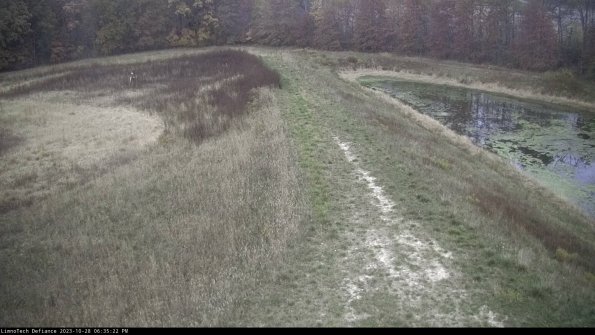 Cell 4 to Basin_23-10-28_18-35-22-79