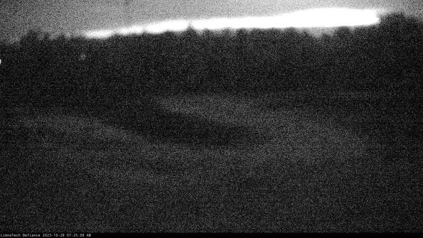 Cell 4_23-10-28_07-25-08-77