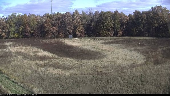 Cell 4_23-10-28_10-46-02-80