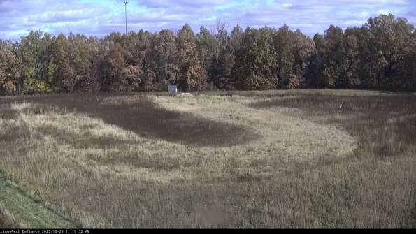 Cell 4_23-10-28_11-19-32-78