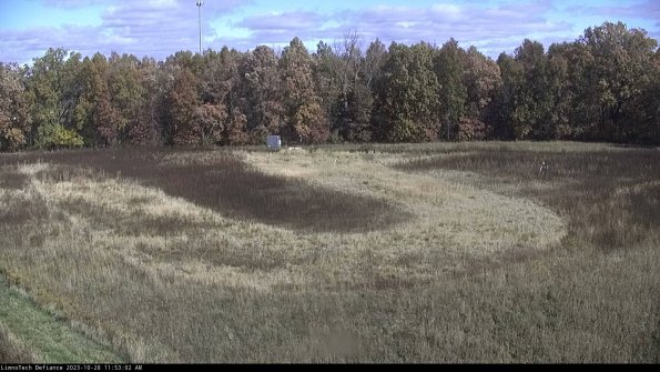 Cell 4_23-10-28_11-53-02-77