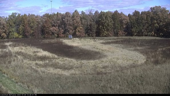 Cell 4_23-10-28_12-26-31-79