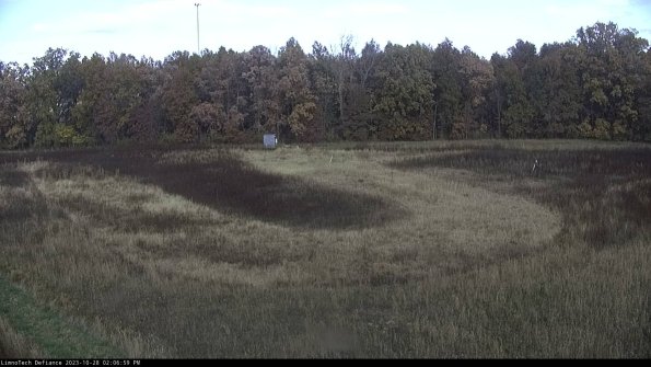 Cell 4_23-10-28_14-06-59-81