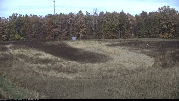 Cell 4_23-10-28_15-13-57-78