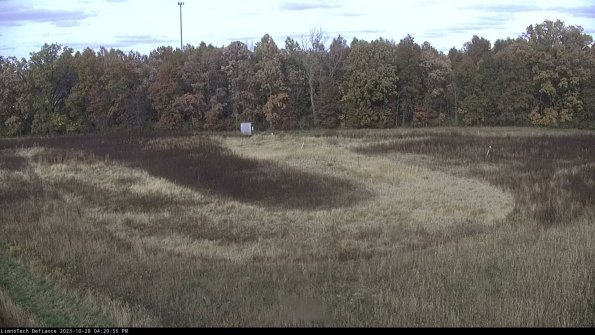 Cell 4_23-10-28_16-20-55-79