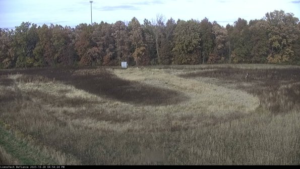 Cell 4_23-10-28_16-54-24-77