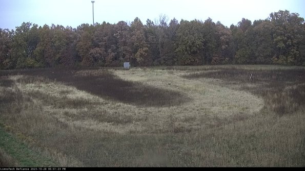 Cell 4_23-10-28_18-01-23-78