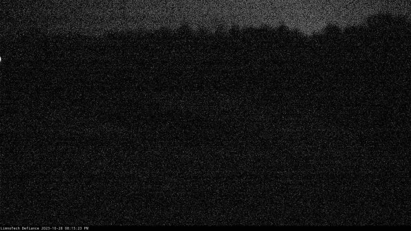 Cell 4_23-10-28_20-15-23-78