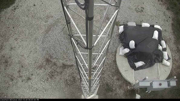 Hatch_23-10-28_18-03-03-78