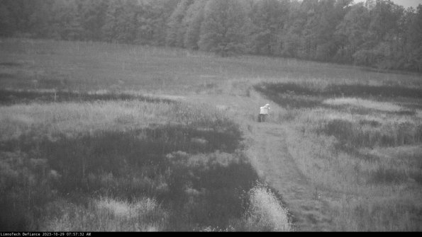 Cell 1 to 2_23-10-29_07-57-32-80