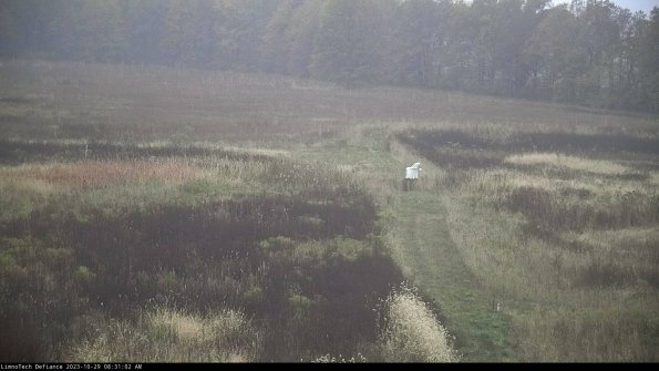 Cell 1 to 2_23-10-29_08-31-02-78