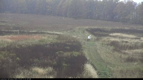 Cell 1 to 2_23-10-29_11-51-59-80