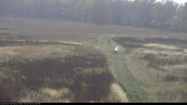 Cell 1 to 2_23-10-29_14-39-26-78