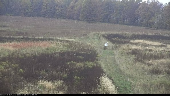 Cell 1 to 2_23-10-29_15-12-54-79