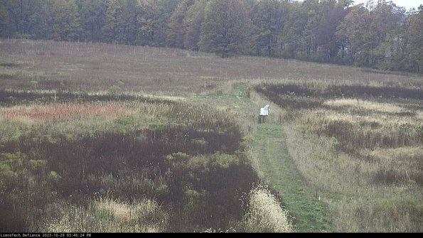 Cell 1 to 2_23-10-29_15-46-24-77