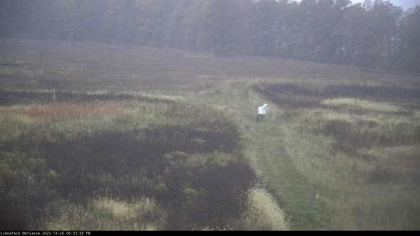 Cell 1 to 2_23-10-29_18-33-50-79