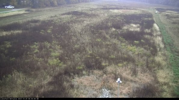 Cell 1_23-10-29_08-30-48-77