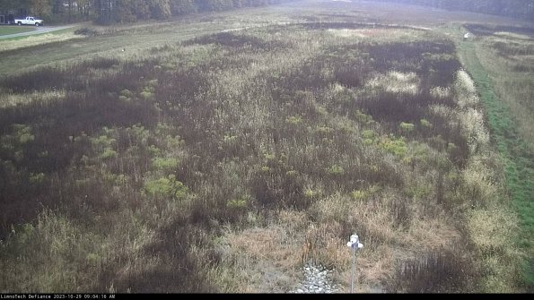 Cell 1_23-10-29_09-04-16-78