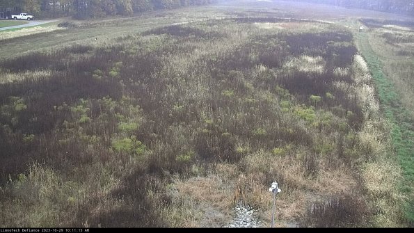 Cell 1_23-10-29_10-11-15-77