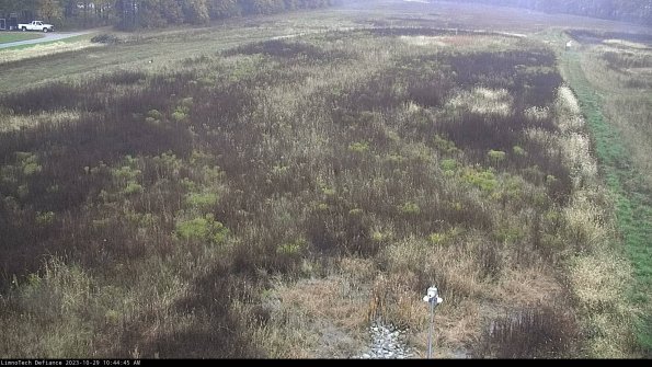 Cell 1_23-10-29_10-44-45-79