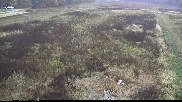 Cell 1_23-10-29_11-51-45-78