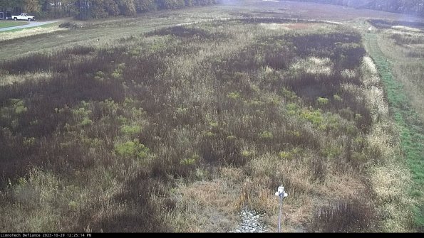 Cell 1_23-10-29_12-25-14-80