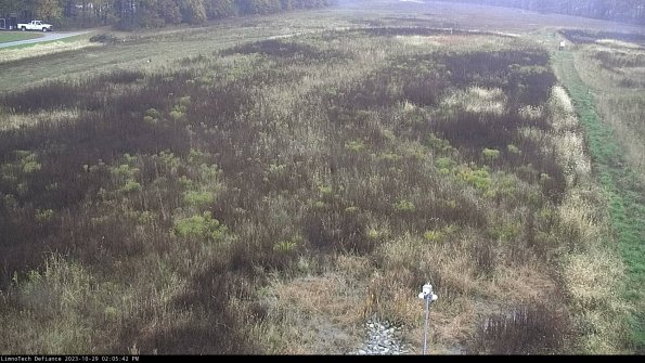 Cell 1_23-10-29_14-05-42-78