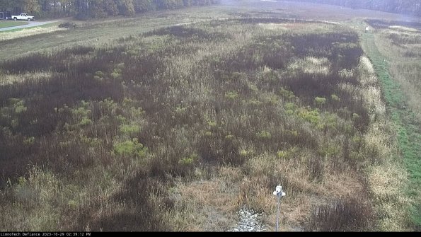 Cell 1_23-10-29_14-39-12-76