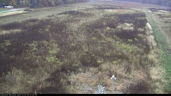 Cell 1_23-10-29_15-12-40-78