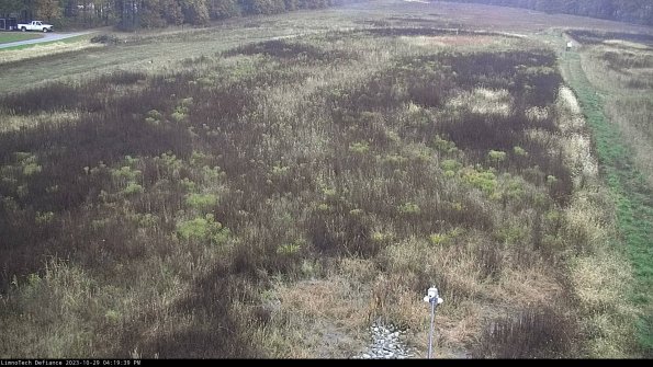 Cell 1_23-10-29_16-19-39-78