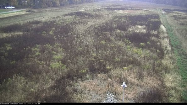 Cell 1_23-10-29_16-53-08-79