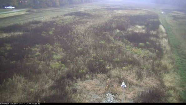 Cell 1_23-10-29_18-00-06-82