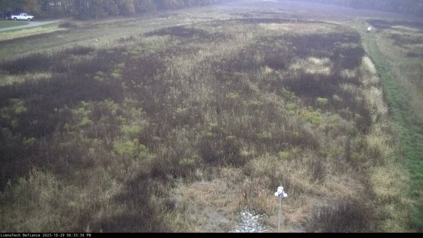 Cell 1_23-10-29_18-33-36-77