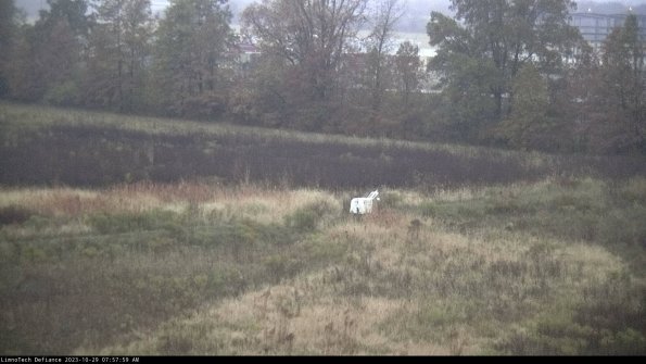 Cell 2 to 3_23-10-29_07-57-59-79