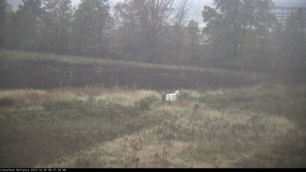 Cell 2 to 3_23-10-29_08-31-28-84