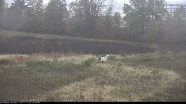 Cell 2 to 3_23-10-29_10-45-25-83