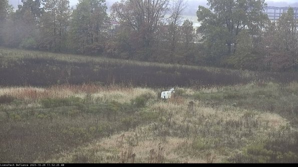 Cell 2 to 3_23-10-29_11-52-25-96