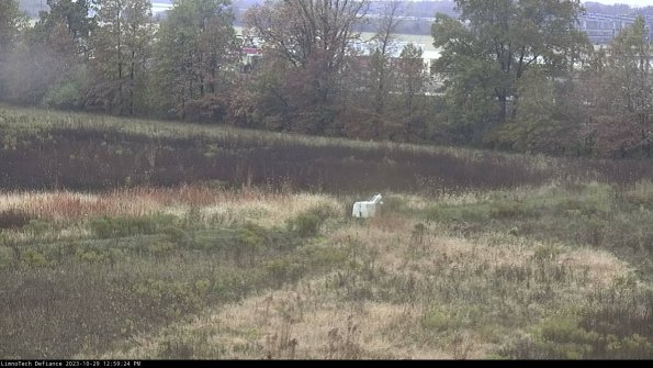 Cell 2 to 3_23-10-29_12-59-24-89