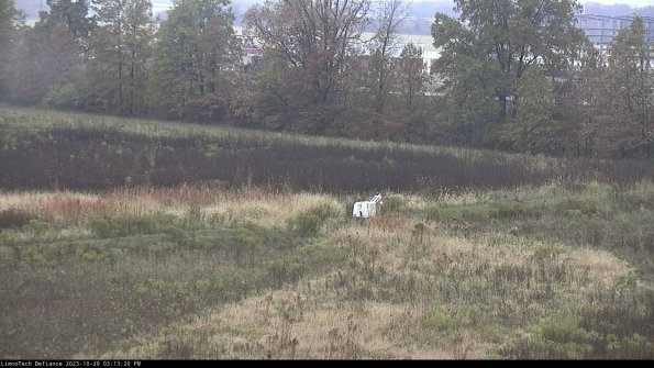 Cell 2 to 3_23-10-29_15-13-20-95