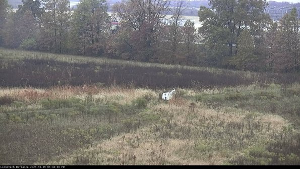 Cell 2 to 3_23-10-29_15-46-50-90