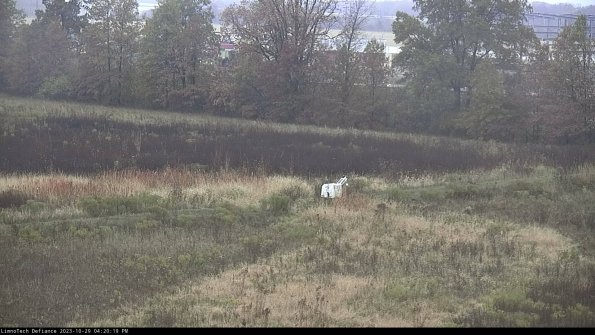 Cell 2 to 3_23-10-29_16-20-19-88