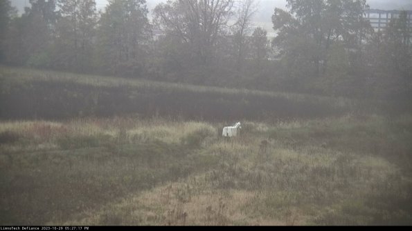 Cell 2 to 3_23-10-29_17-27-17-91