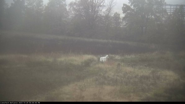 Cell 2 to 3_23-10-29_18-00-46-93