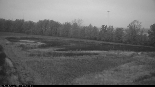 Cell 2_23-10-29_07-57-46-01