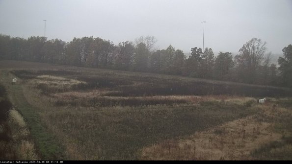 Cell 2_23-10-29_08-31-15-79