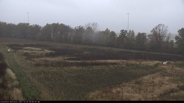 Cell 2_23-10-29_09-04-43-84