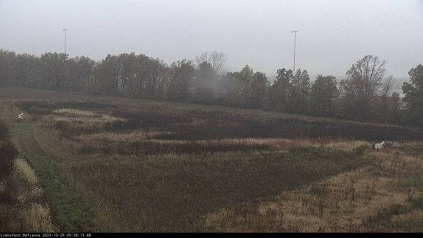 Cell 2_23-10-29_09-38-13-79