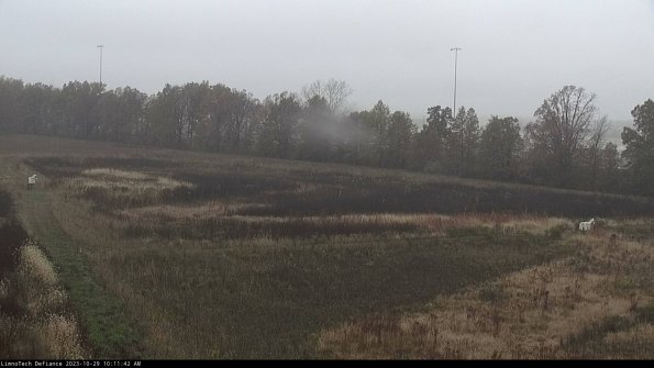 Cell 2_23-10-29_10-11-42-83